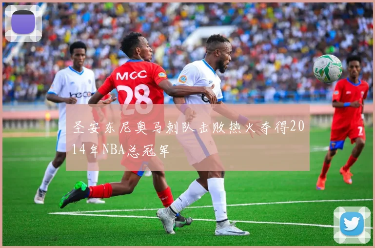 圣安东尼奥马刺队击败热火夺得2014年NBA总冠军